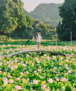 TOUR NINH BÌNH - BÁI ĐÍNH - TRÀNG AN -HANG MÚA 2 ngày 1 đêm