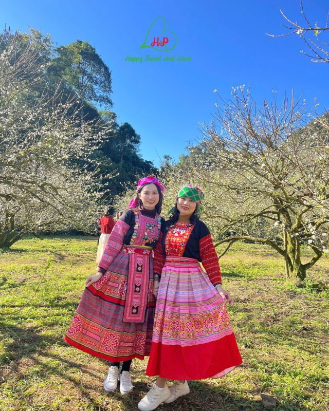 Những địa điểm check in cực hot ở Mộc Châu năm 2025