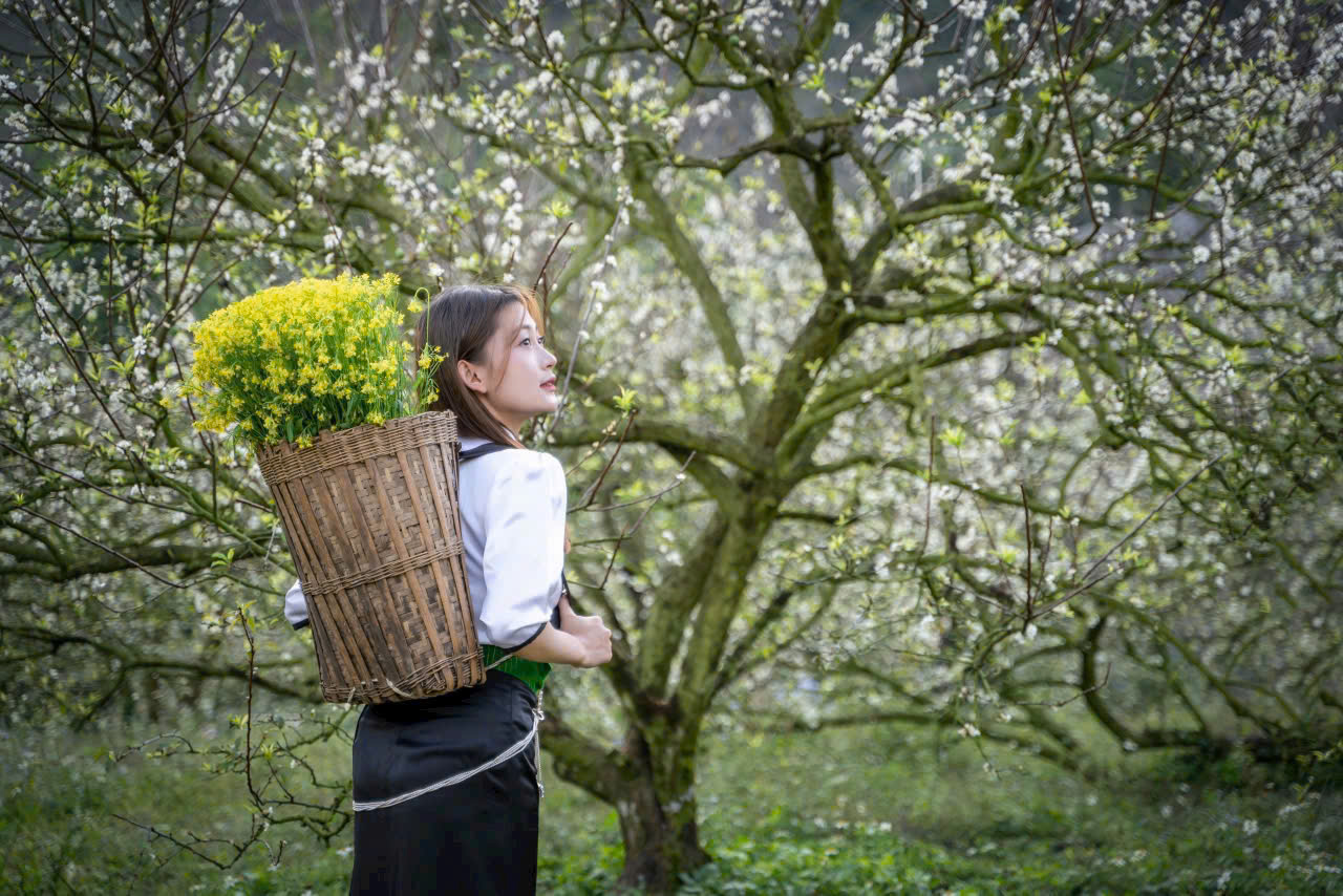 du lịch mộc châu